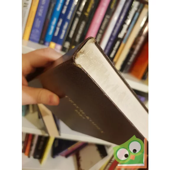 Czech-kódex 1513 - Kinizsi Pálné imádságoskönyve