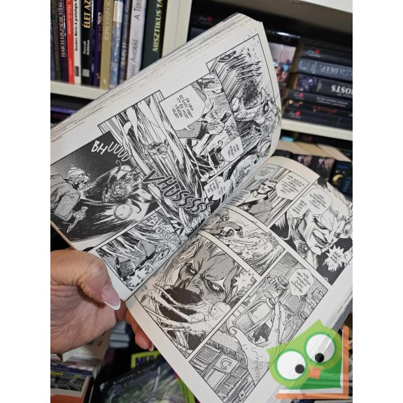 Hideyuki Kikuchi, Saiko Takaki: D, a vámpírvadász 1.  (D, a vámpírvadász 1.) (ritka)