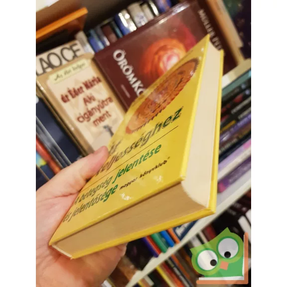 Thorwald Dethlefsen, Rüdiger Dahlke: Út a teljességhez