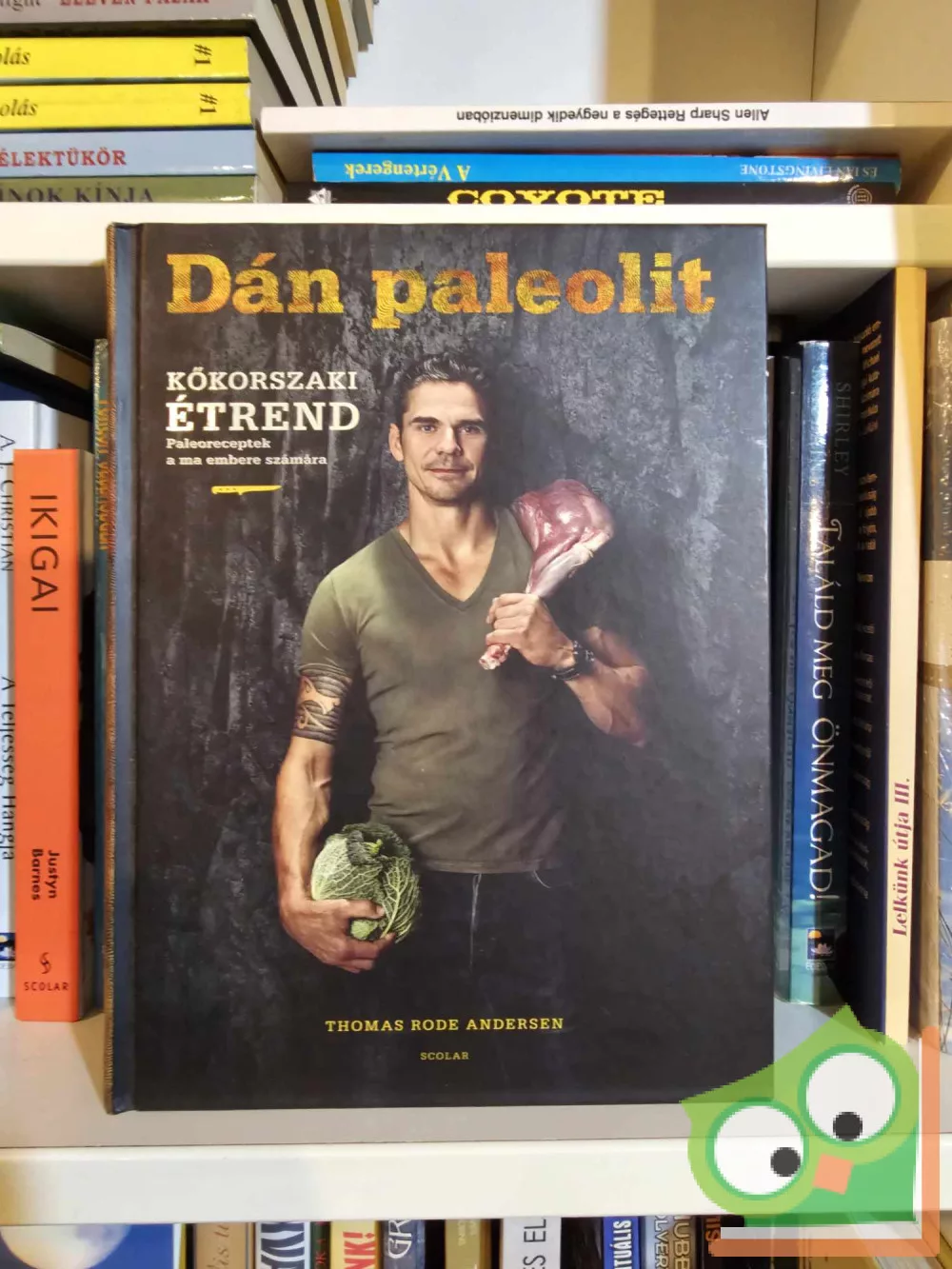 Thomas Rode Andersen: Dán paleolit (újszerű) - Antikvárium B
