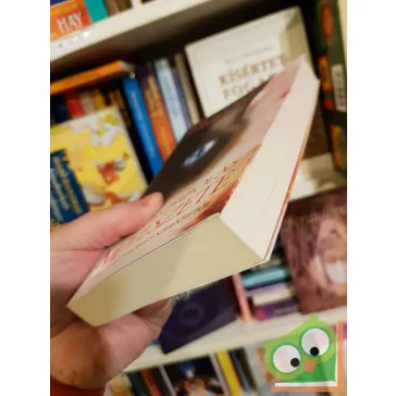   David Michie: A dorombolás művészete (A Dalai Láma macskája 2.)