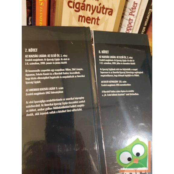 Mark Waid, Brian Augustyn: Az Igazság Ligája: Az első év I-II. (DC 7-8.kötet)