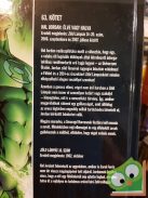DC 63. Zöld Lámpás - Hal Jordan: Élve vagy halva