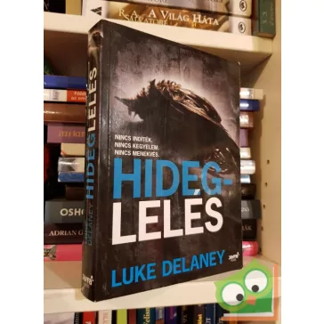 Luke Delaney: Hideglelés (Sean Corrigan 1.)