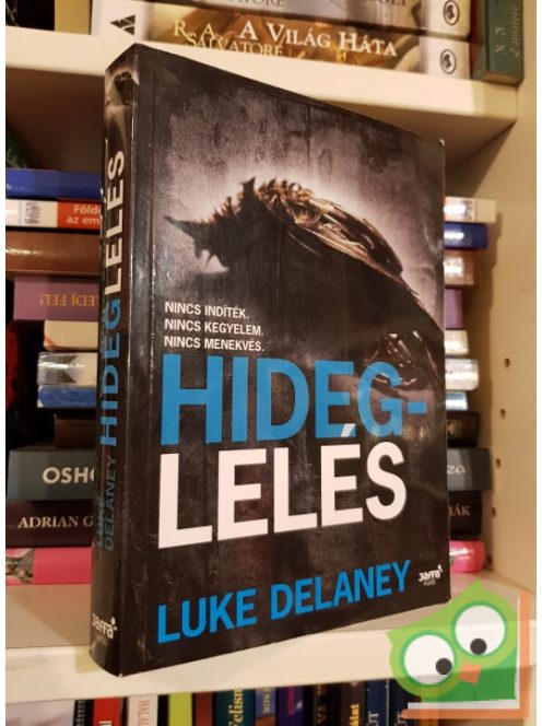 Luke Delaney: Hideglelés (Sean Corrigan 1.)