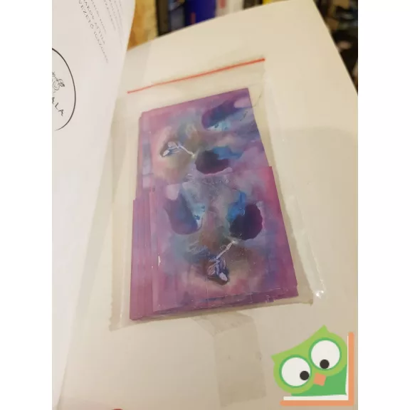 Schmidtné Holló Erzsébet: Delej - Lélektárs kereső (jós kártyával)