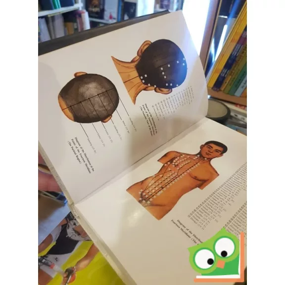 Shuai Xuezhong, Cheng Zhiming: Dictionary of Acupuncture and Moxibustion (ritka)