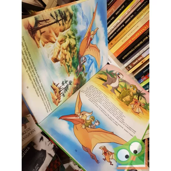 Tóth Dóra: Dini kalandjai