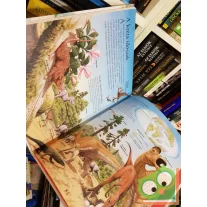 Dinoszauruszok (Scolar kalauz gyerekeknek)