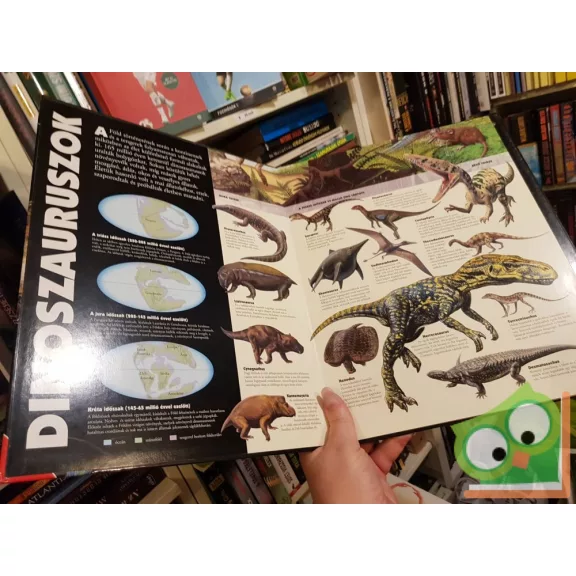 Christiane Gunzi (szerk.): Dinoszauruszok - Leporelló-könyv