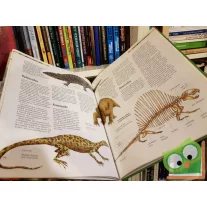 A Dinoszauruszok (Tudástár sorozat)