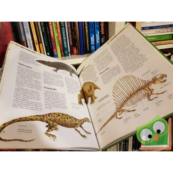 A Dinoszauruszok (Tudástár sorozat)