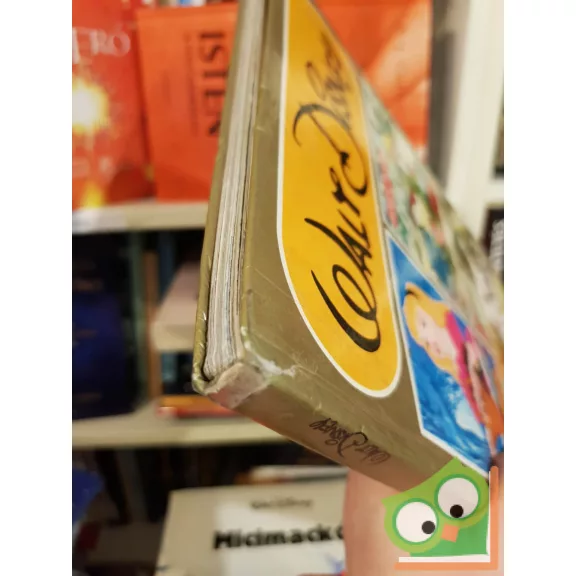 Walt Disney - Robin Hood / Csipkerózsika / 101 kiskutya