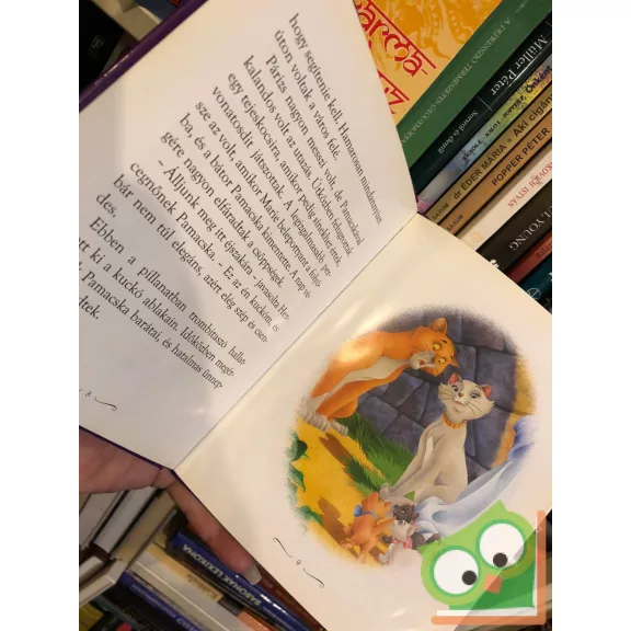 Disney családi mesegyűjtemény – Engedd, hogy a szíved vezessen