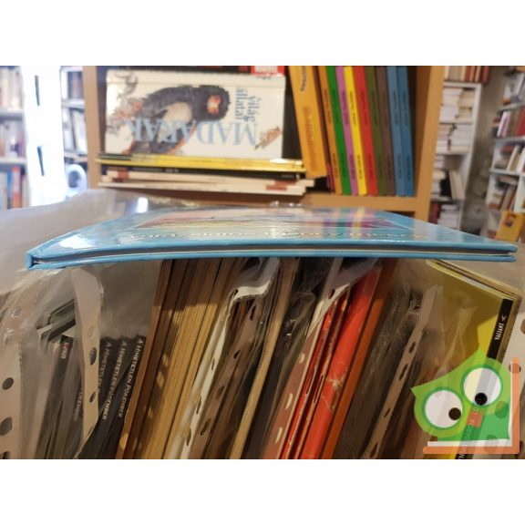 Disney Hercegnők - Hamupipőke (Varázslatos Disney-mesék, ritka)