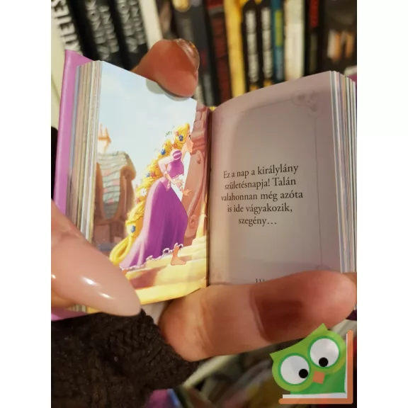 Disney minikönyvek 23. - Aranyhaj