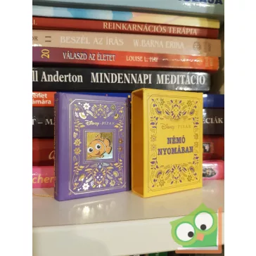 Disney minikönyvek 32. - Némó nyomában (Disney Pixar)