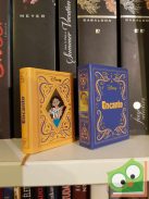 Disney minikönyvek 60. - Encanto (újszerű)