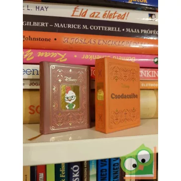 Disney minikönyvek 16. -  Csodacsibe