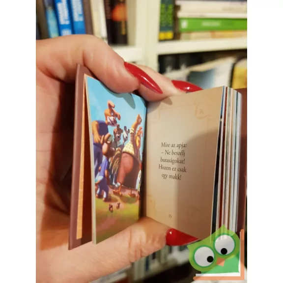 Disney minikönyvek 16. -  Csodacsibe