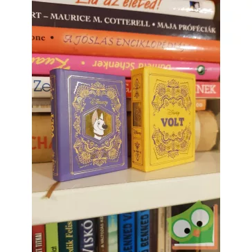 Disney minikönyvek 14. - Volt