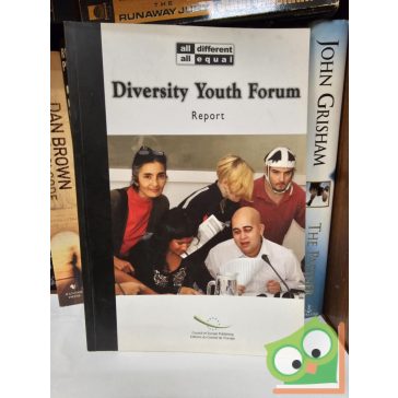 Diversity Youth Forum Report