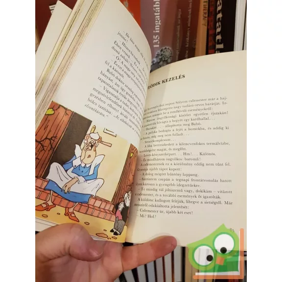 Romhányi József: Doktor Bubó