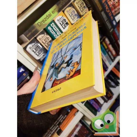 Hugh Lofting: Doktor Dolittle és a madárposta - Klasszikusok fiataloknak (Ritka)