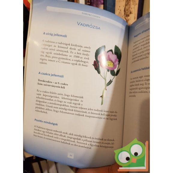 Anna Jeoffroy, Philip Salmon: Dr. Bach virágeszenciái