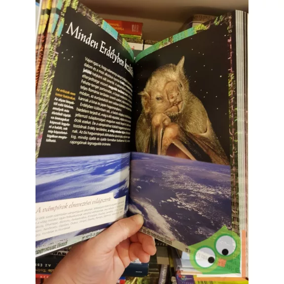 Alessandra Bisceglia: Drakula  Barangolás Erdélyben