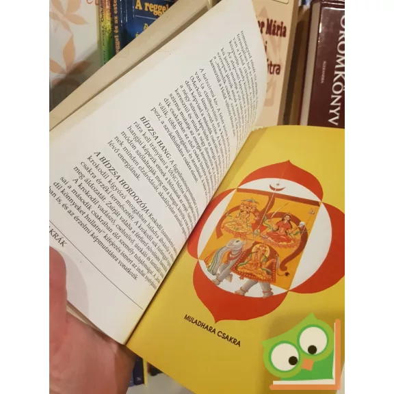 Haris Dzsohari: Csakrák