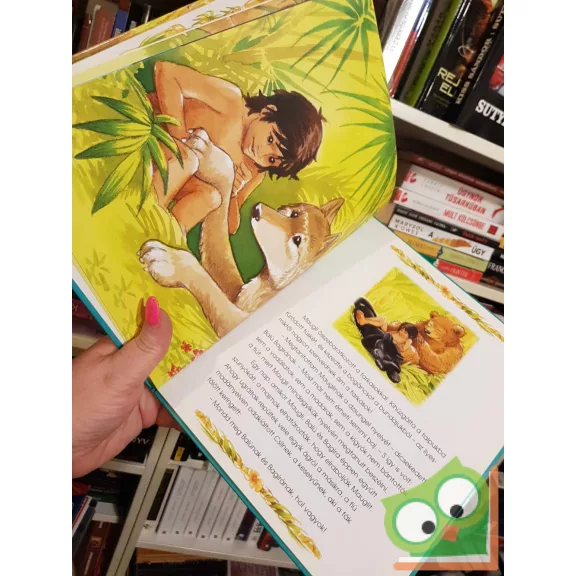 A dzsungel könyve (Tanulságos történetek)