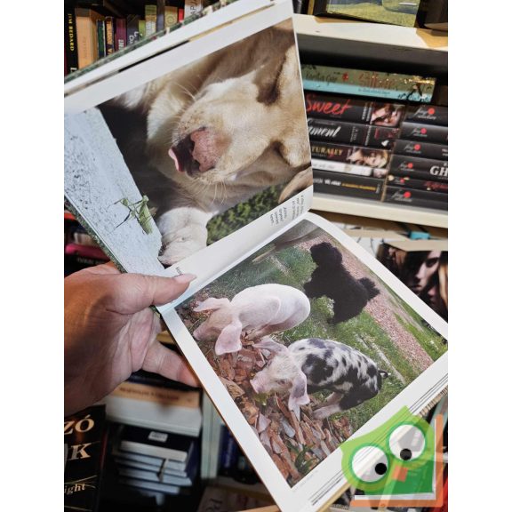 Szász Terézia: Ebnek lenni jó!