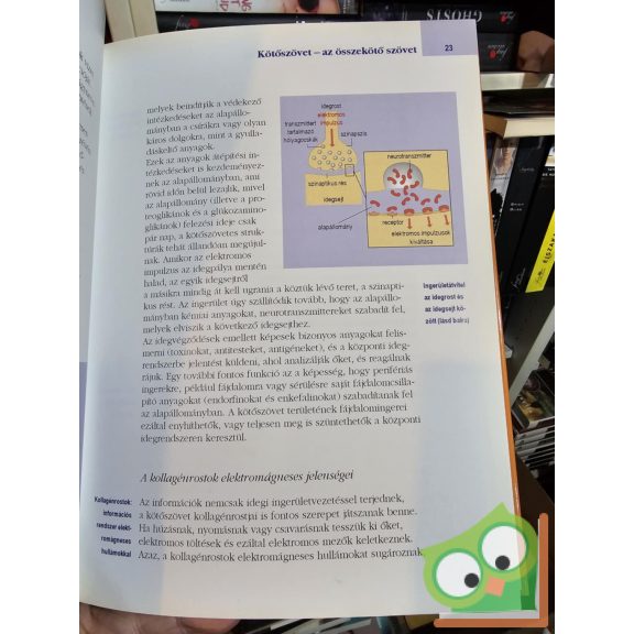 Siegbert Tempelhof: Egészséges ízületek (Egészséges életmód)