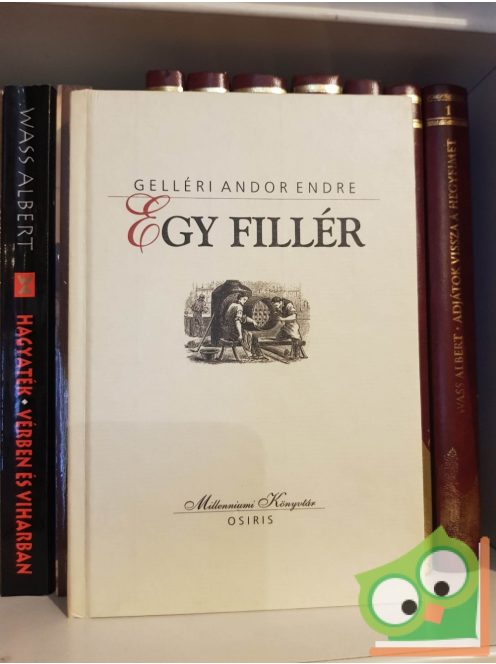 Gelléri Andor Endre: Egy fillér (Milleniumi könyvtár sorozat 43. kötet)