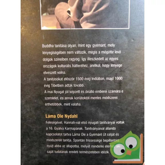 Ole Nydahl: Egy jógi 109 válasza