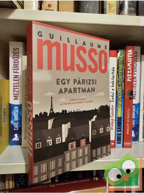 Guillaume Musso: Egy párizsi apartman  (Madeline 2.)