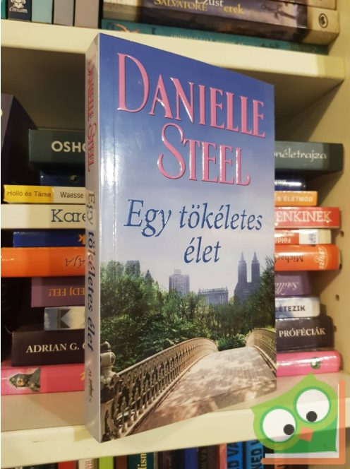 Danielle Steel: Egy tökéletes élet (ritka)