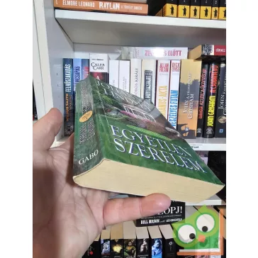   Johanna Lindsey: Egyetlen szerelem (A Malory család 1.) (ritka)