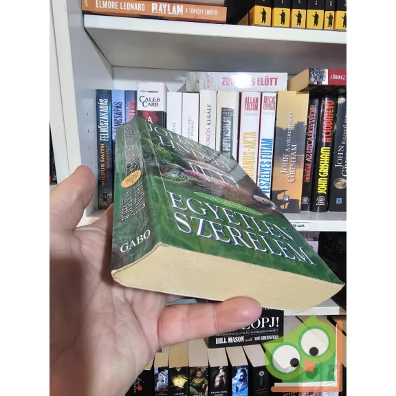 Johanna Lindsey: Egyetlen szerelem (A Malory család 1.) (ritka)