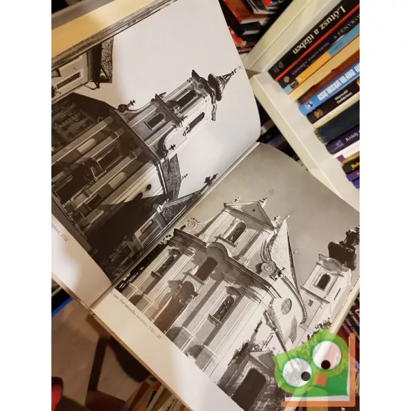 Cserháti József Dr.-Esze Tamás: Egyházi épületek és műtárgyak gondozása