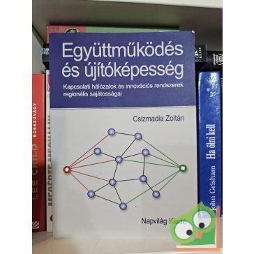 Csizmadia Zoltán: Együttműködés és újítóképesség