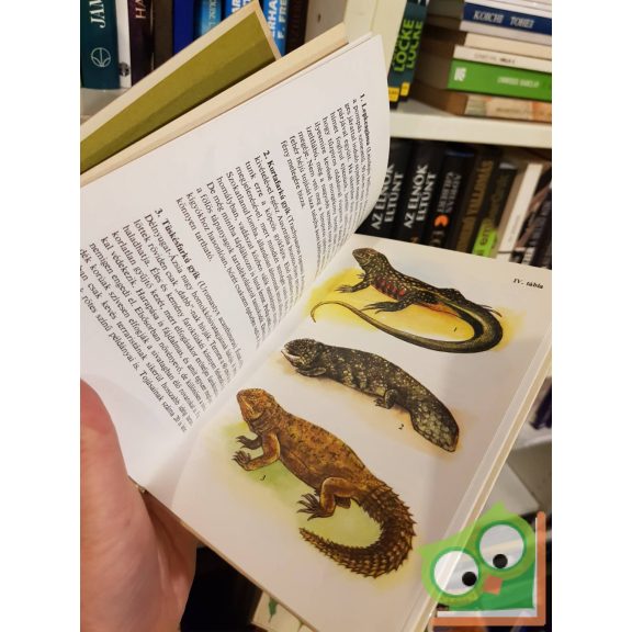 Janisch Miklós: Egzotikus hüllők (Búvár zsebkönyvek)
