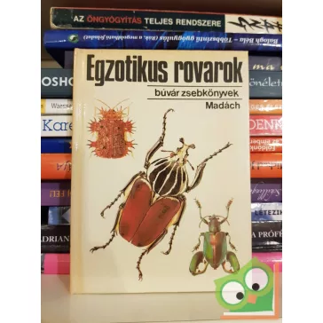 Vásárhelyi-Csiby: Egzotikus rovarok (búvár zsebkönyvek)