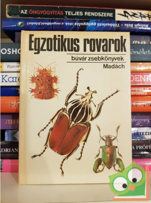 Vásárhelyi-Csiby: Egzotikus rovarok (búvár zsebkönyvek)