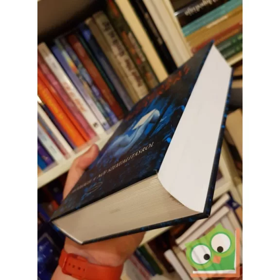 Forgács Zsuzsa Bruria (szerk.), Gordon Agáta (szerk.), Bódis Kriszta (szerk.): Éjszakai állatkert