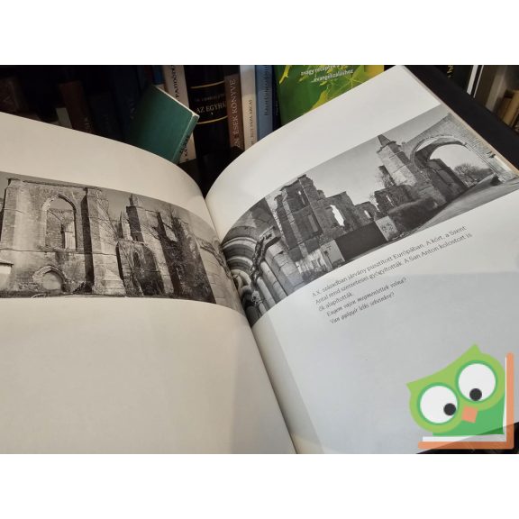 Tolvaly Ferenc, Csepregi Miklós: El Camino – Az út képekben