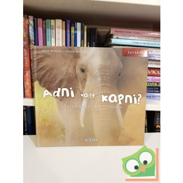 José Morán, Simon Mendez: Adni vagy kapni?