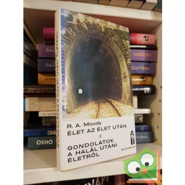 Raymond Avery Moody: Élet az élet után