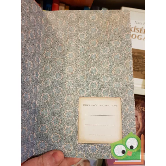 Elisabetta Gnone: Grisam kapitány és a szerelem (Fairy Oak) (Nagyon ritka)